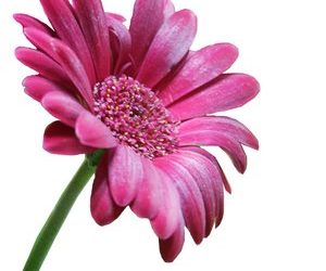 San Diego to host country's largest arts convention