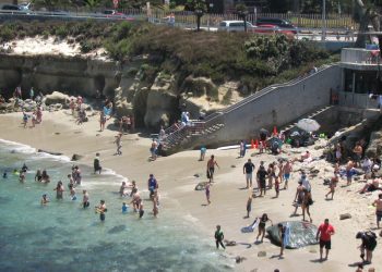 Opening Week at Del Mar Racetrack: New attractions and world-class racing
