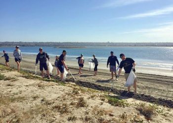 SDFoodInfo.org serves up San Diego restaurant health inspection info