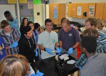 Mission Beach centennial celebration formally gets under way