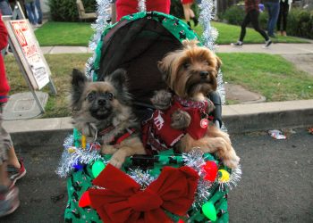 La Jolla doctor proves there’s no age limit to pursuing career