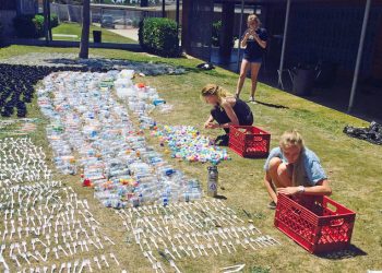 Support the Rewild Mission Bay project