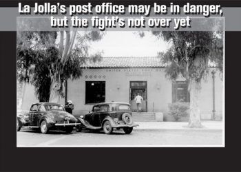 Tide Lines: There is a season — Tern! Tern! Tern!