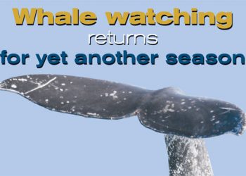 Take a bite out of the new year with Restaurant Week