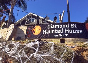 NIBBLES AND SIPS – Umo Sushi opens on Garnet, Wayfarer Bread earns national recognition