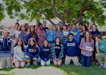 Zapf, Dumanis appear victorious in primary election