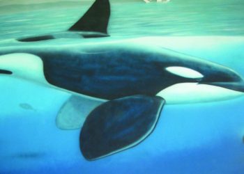 A look at the beach booze ban, six years later