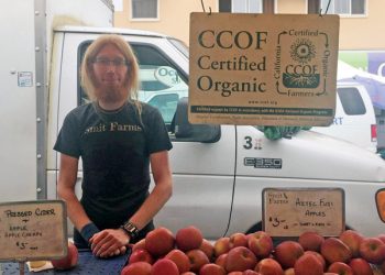 Pacific Beach Middle students earn medals at San Diego Unified track event