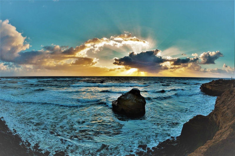 News and community briefs for Ocean Beach and Point Loma