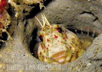 Take a bite out of the new year with Restaurant Week