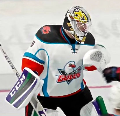 Gulls new sweaters unveiled, arena upgrades continue