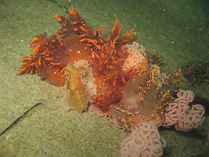 La Jolla moms shine through student essays