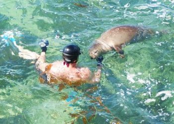 Girls basketball: Country Day moves forward in CIF playoffs