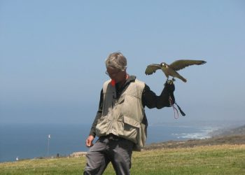 News Briefs: April 20, 2018