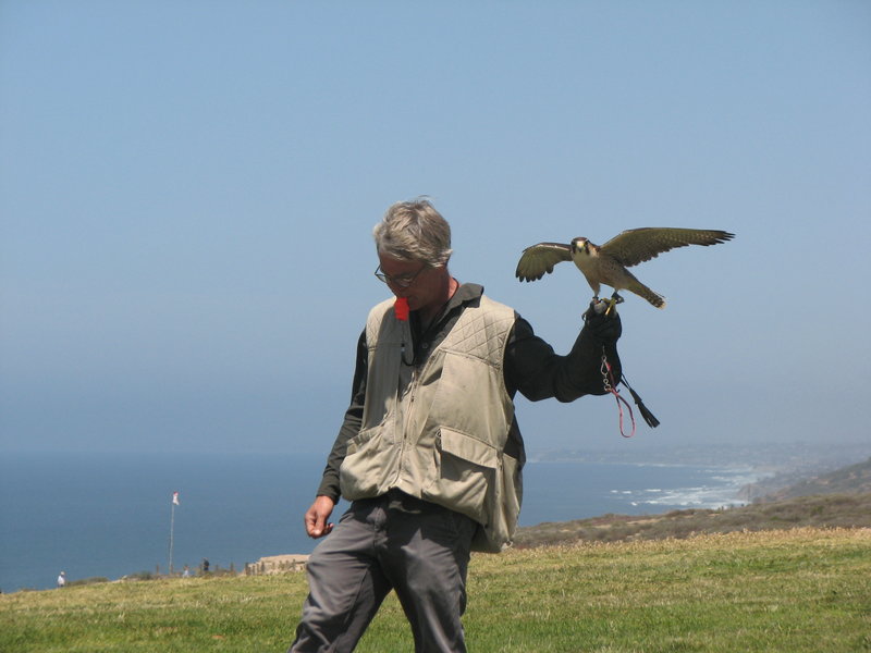 Raptor man: One group's dedicated effort to educate the public on importance of conservation