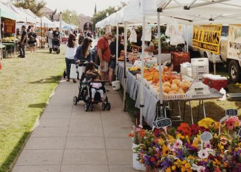 Bayside Skyride celebrates 50th anniversary