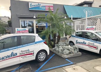 Shorebirds of San Diego County tours highlight Pacific Flyway visitors
