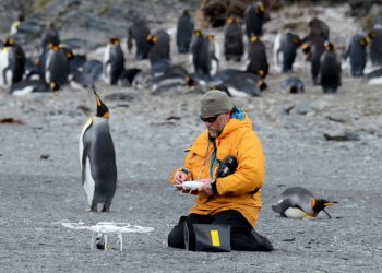 Social Concept opens on Prospect