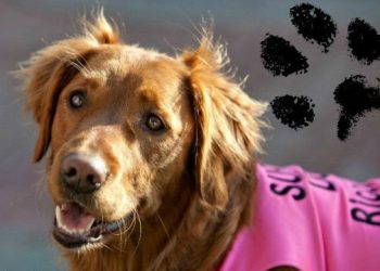 Community center sets ovarian cancer lecture