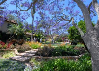 Letter to the Editor – April 24, 2015