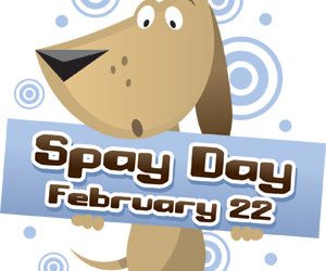 Tips for taking your dog to work