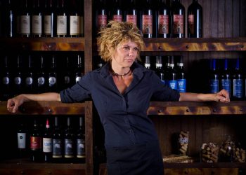 Coasterra officially opens on Harbor Island