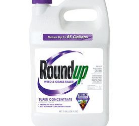 MCASD deputy chief named museum’s new director