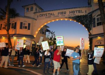 2012 San Diego Bird Festival to soar at Mission Bay in four-day installment