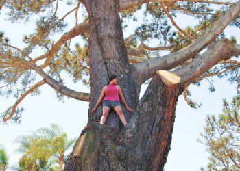 Raelee Nikole to perform at Conservation Concert in Pacific Beach