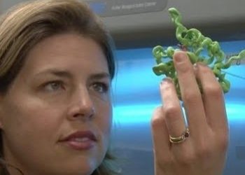 Arrive early for your holiday flight, Lindbergh says