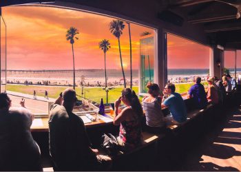 County adopts out 119 pets on Clear the Shelters Day