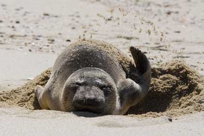 TIDE LINES: Sealed behind a lens
