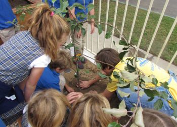 Owens ordered to stand trial in Fiesta Island mishap