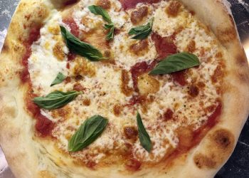 Pacific Beach man pleads guilty to killing uncle