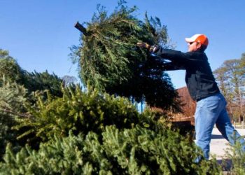 Human Trafficking Awareness Rally to spotlight local problems