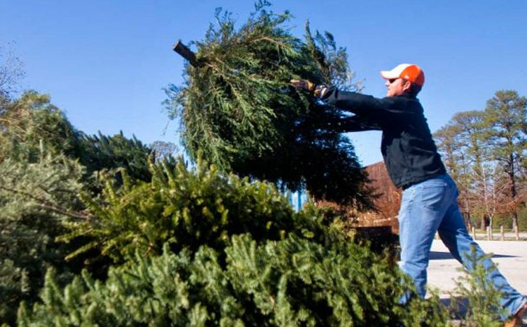 Christmas tree recycling program runs through Jan. 28