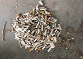 SDPD investigating murder-suicide in La Jolla