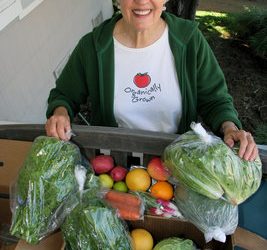 Bring home the veggies: Local farms help you connect to land