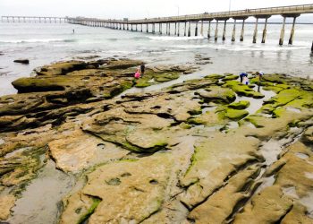 Songwriter’s Acoustic Nights celebrates 9 years in Ocean Beach