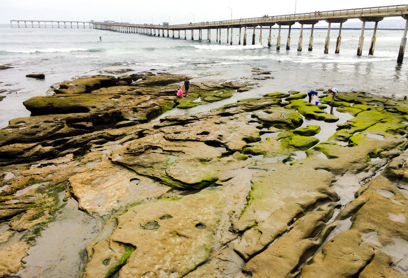 Community briefs for Point Loma and Ocean Beach