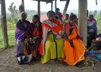 University City updates: Summer concerts, Marian Bear and more