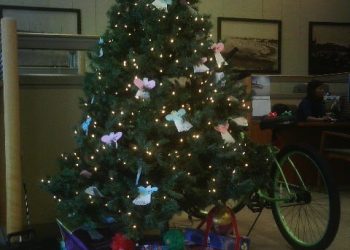 Ocean Beach’s Tech Pet Care goes the dog-sitters one better