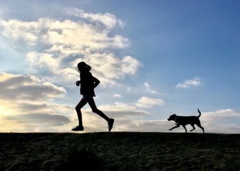 Vote for your favorites for San Diego Music Awards