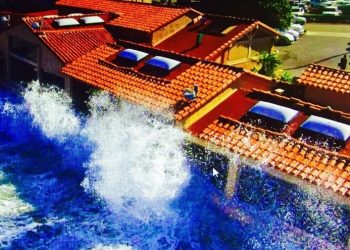 Notes from Toni: Important work in Sacramento