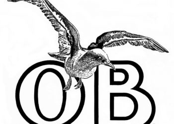 San Diego Gulls name Eakins head coach