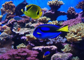 DOING IT BETTER: The acceptance we long for