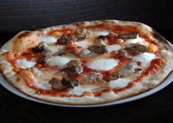 Fall in love – dogs and cats at half-price