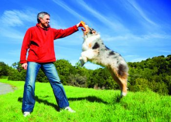 Bavington exhibit mixes art and music