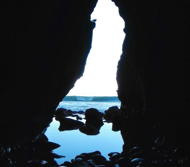 La Jolla news and community briefs