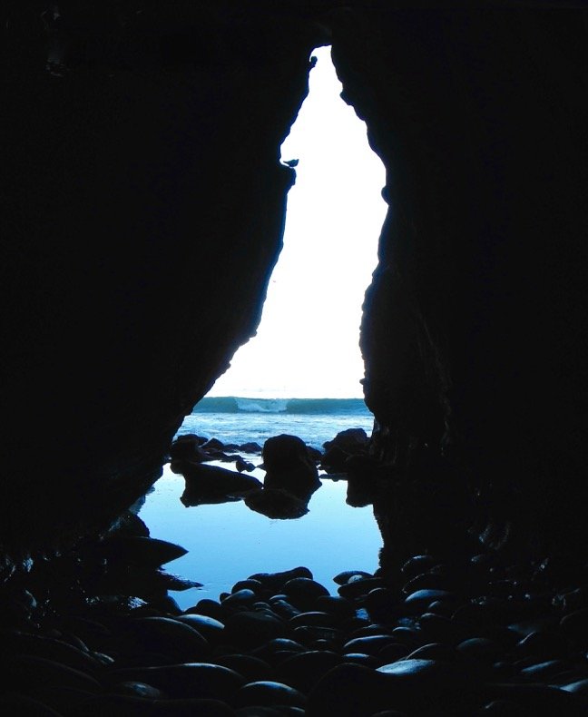 La Jolla news and community briefs